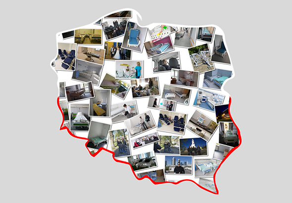 organizacja
